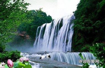 李湘卖二手物品上热搜!毛巾1560,茶壶1450
